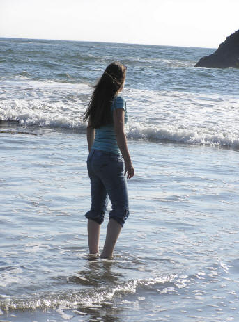 The Trip - North on the Left Coast