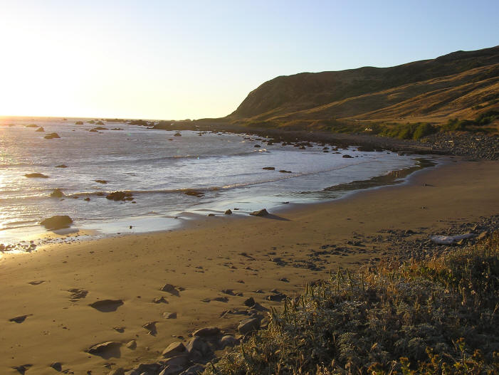 The Trip - North on the Left Coast