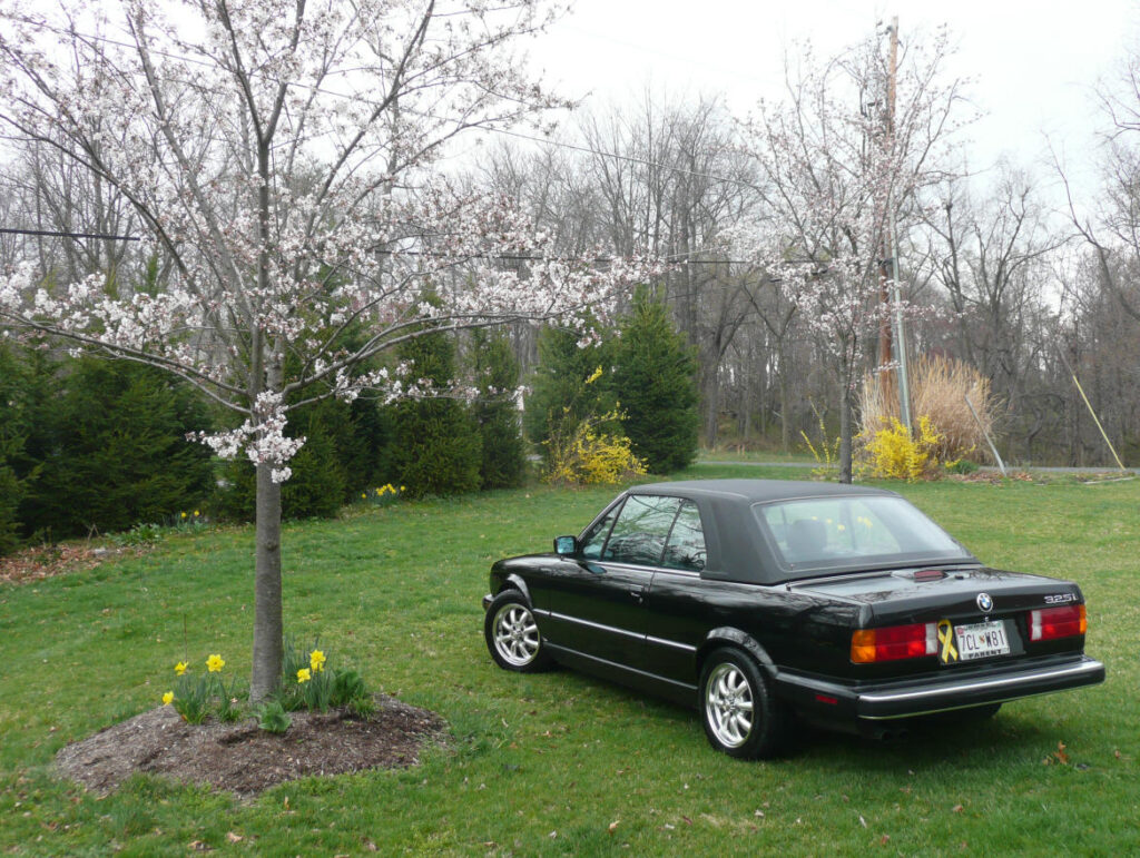 1990 BMW E30 325ic