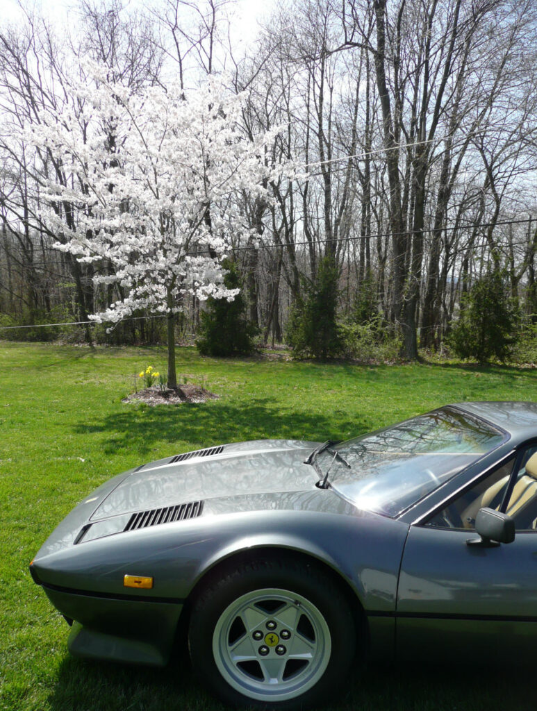 1978 Ferrari 308 GTB