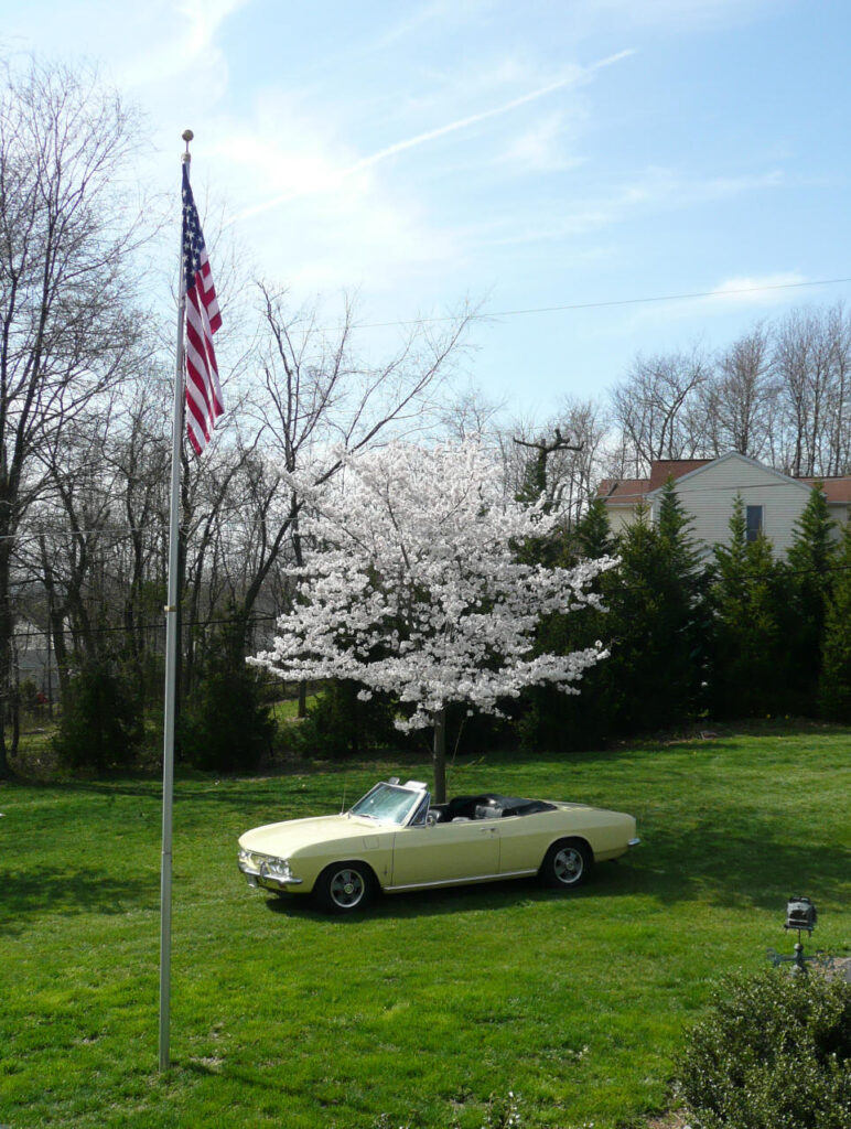 1967 Corvair Monza Convertible