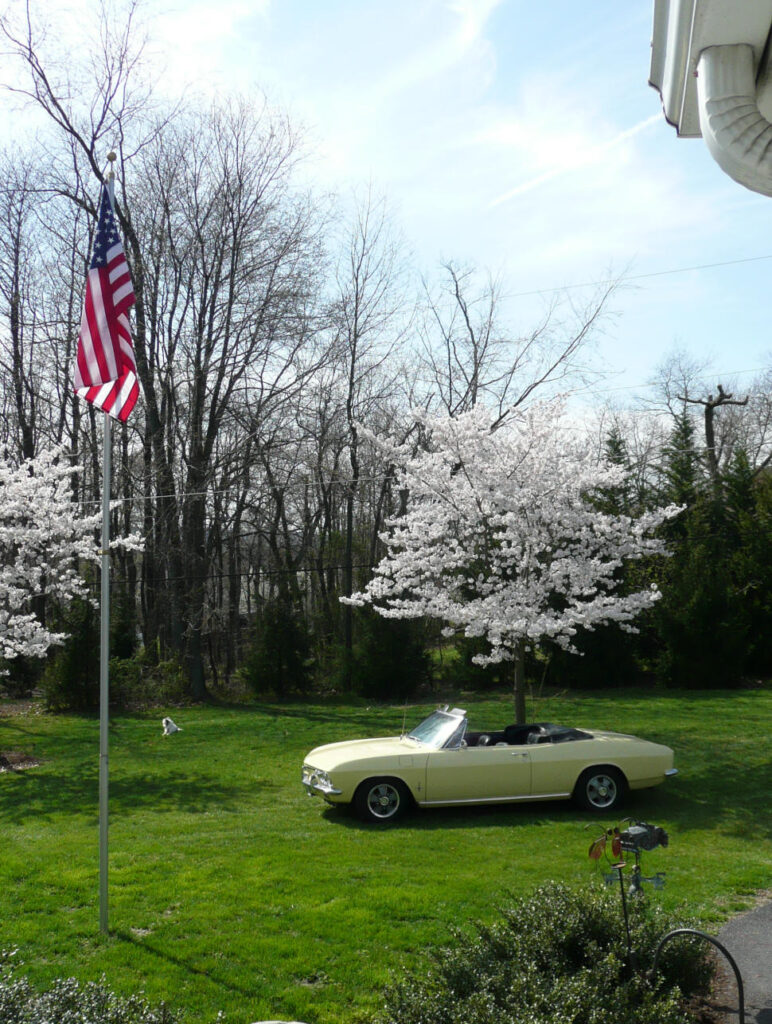 1967 Corvair Monza Convertible