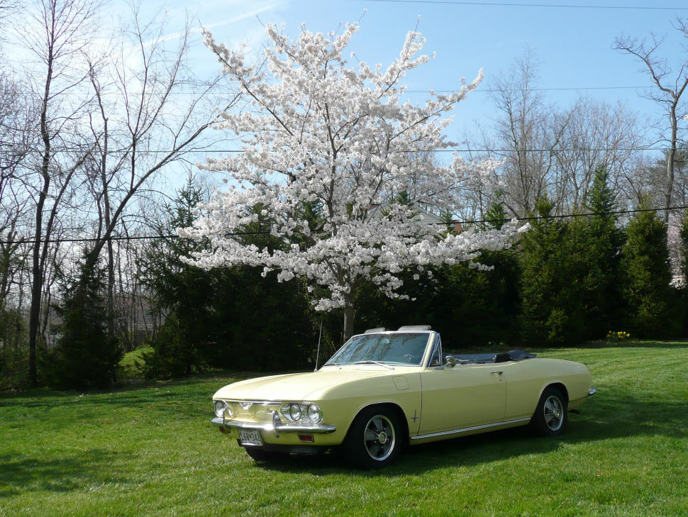 1967 Corvair Monza Convertible
