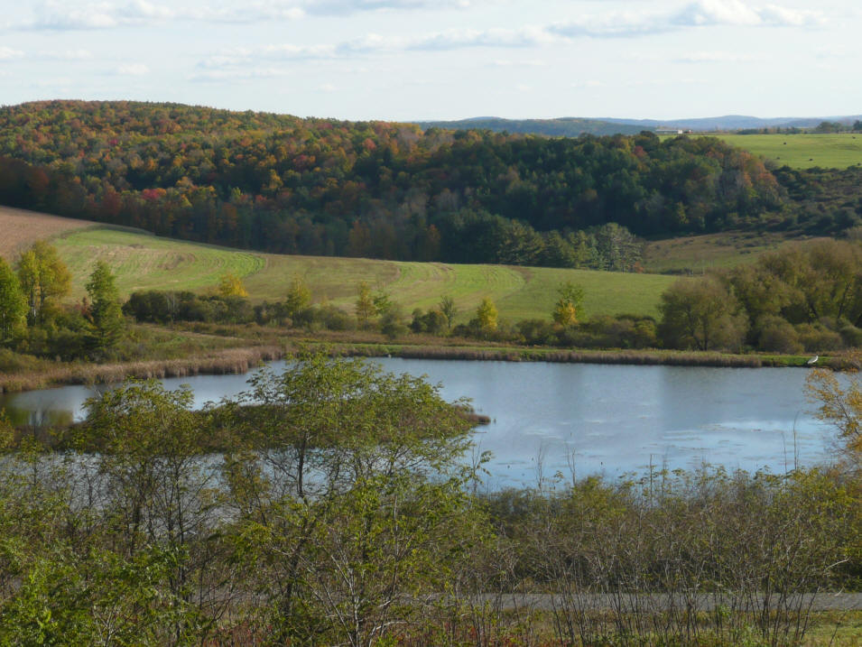 NY Estate in Cameron, NY - FNader